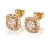 Glamorus örhängen studs - champagne